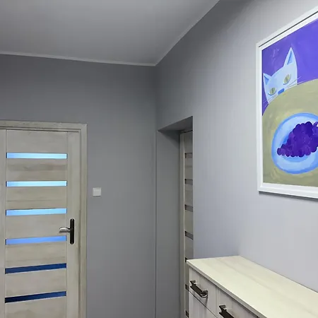 Apartmán Przytulne Mieszkanie Z Wyposazona Kuchnia, 200 M Od Parku Centralnego