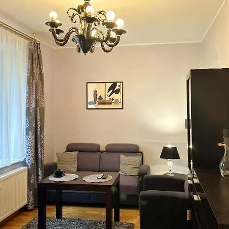 Przytulne Mieszkanie Z Wyposazona Kuchnia, 200 M Od Parku Centralnego *