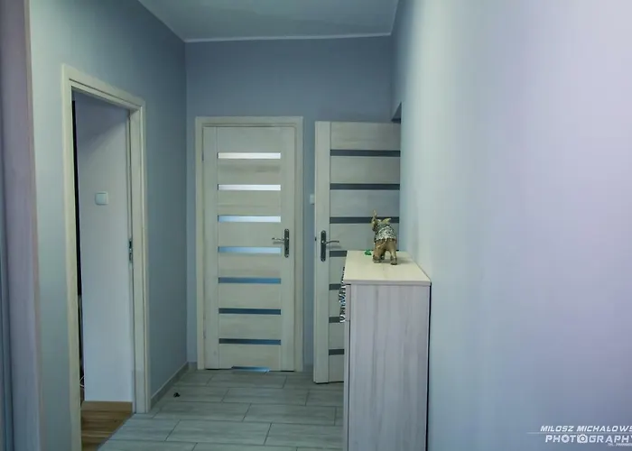 Wrzosowy Apartament, 260m Od Parku Centralnego Appartement